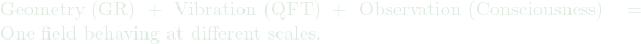 \text{Geometry (GR)} + \text{Vibration (QFT)} + \text{Observation (Consciousness)} = \text{One field behaving at different scales.}